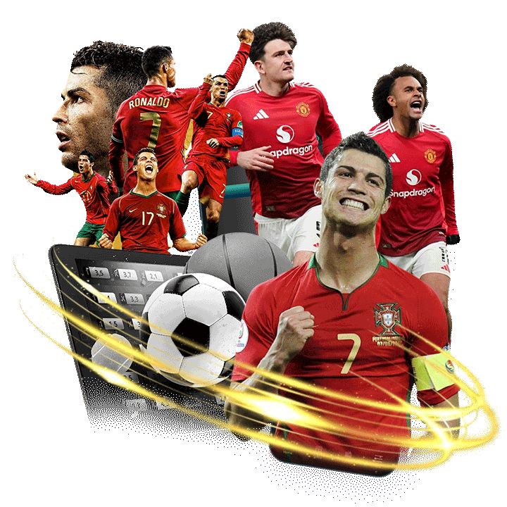 กลยุทธ์การบริหารเงินทุน